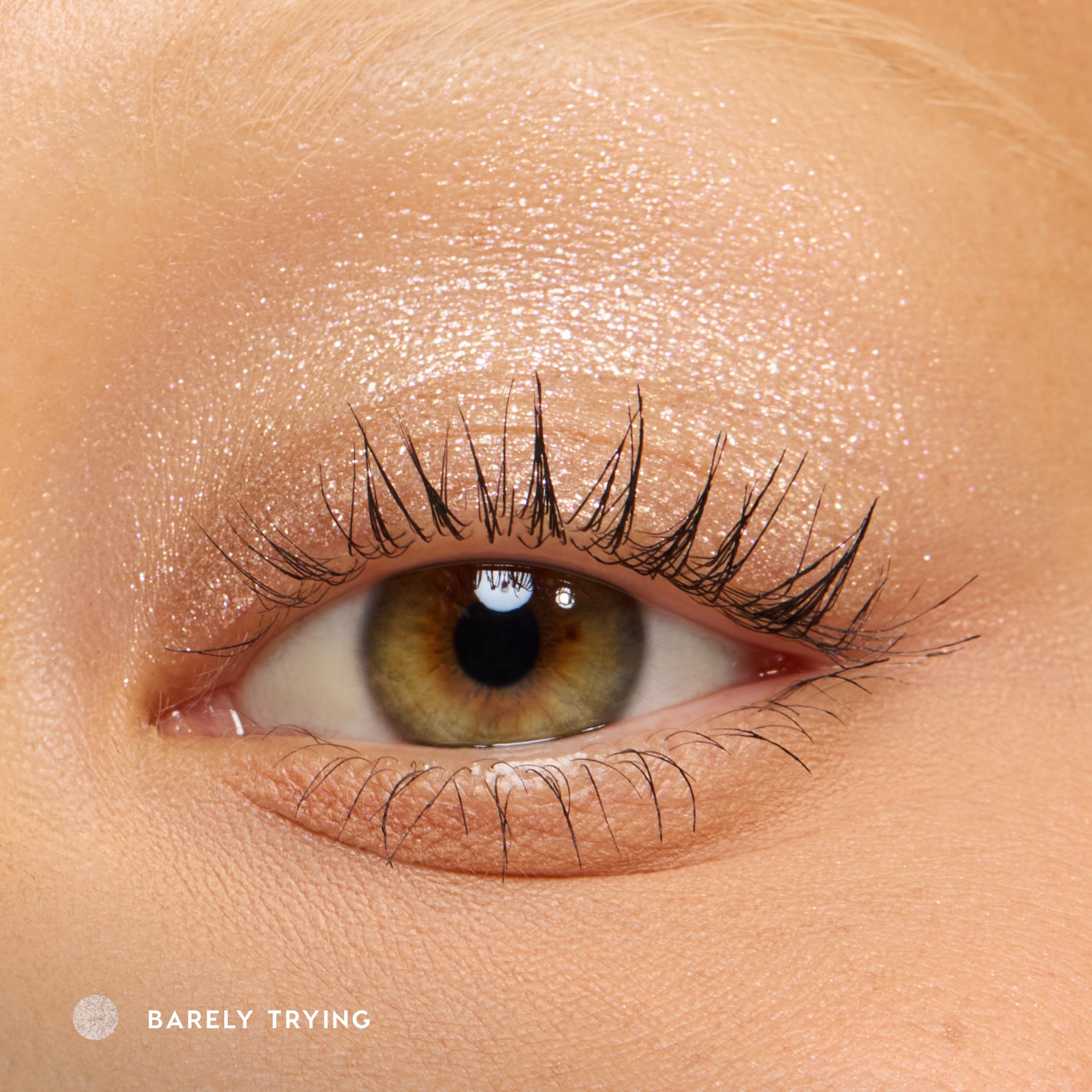 Barely Trying - Image 5